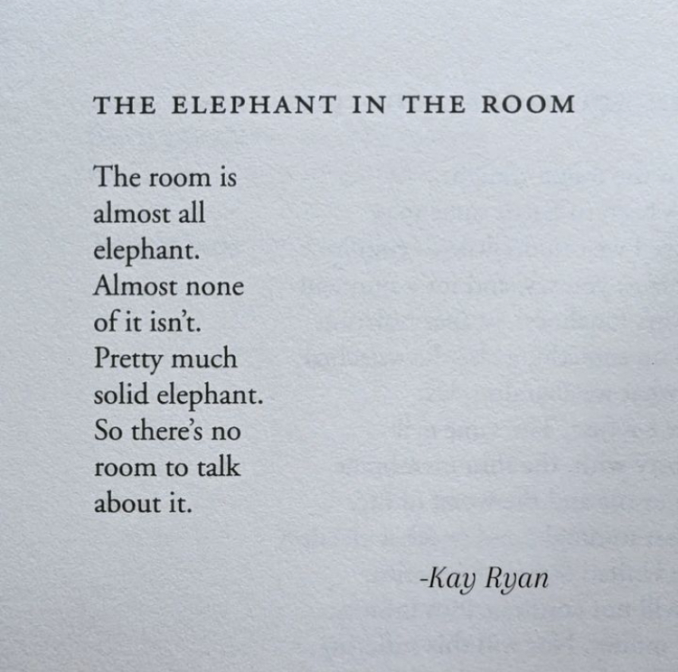 The elephant in the room